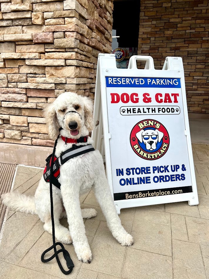 Therapy dog beside a Ben's Barketyplace reserved parking sign