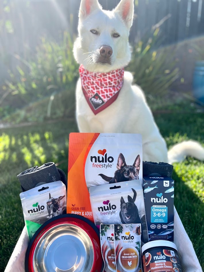 Dog with donated Nulo pet food and supplies