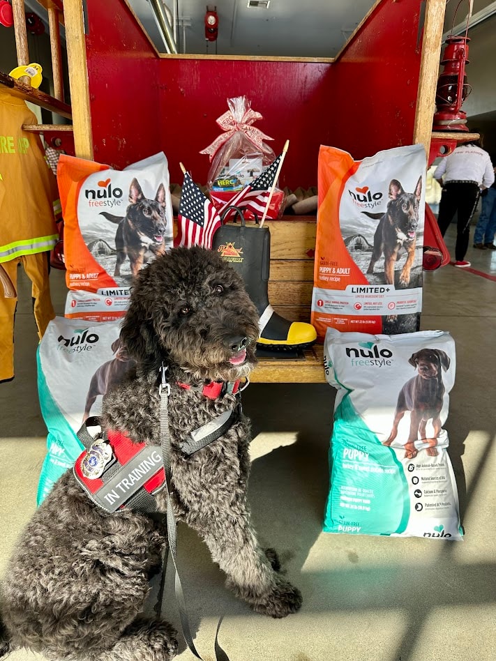 Therapy dog in training with donated food and supplies
