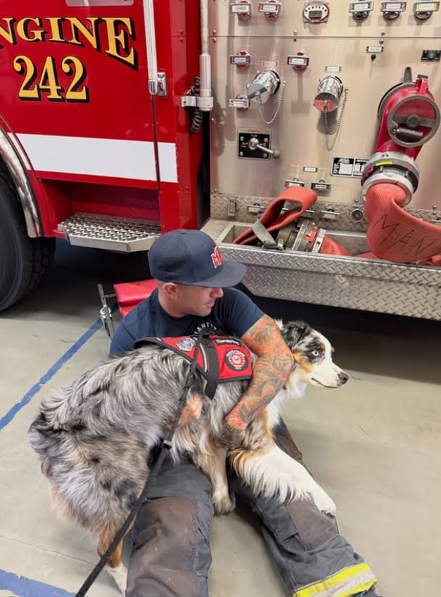 Therapy dog providing comfort and support to a first responder